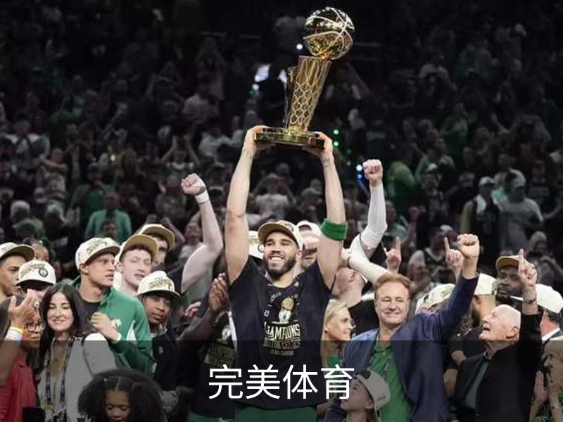 完美体育介绍